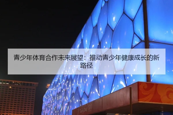 青少年体育合作未来展望：推动青少年健康成长的新路径