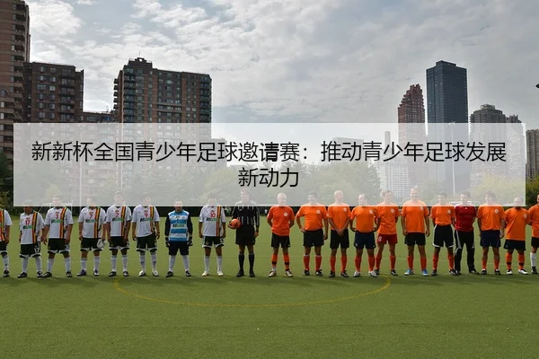 新新杯全国青少年足球邀请赛：推动青少年足球发展新动力